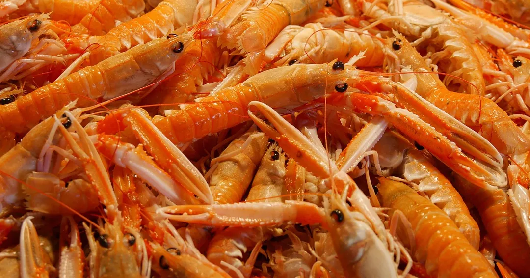 Mariscos frescos: cómo reconocer la calidad en cada bocado